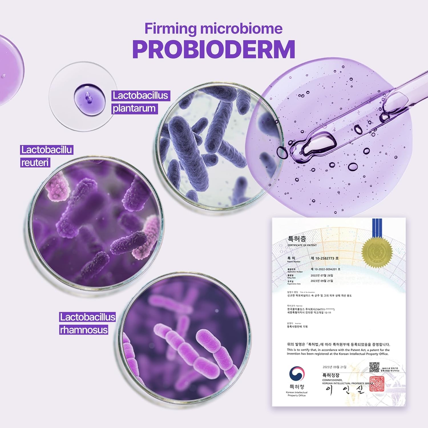 Probioderm 3D Lifting Cream 1.7 Fl Oz | Advanced Korean Anti-Aging Probiotic Night Moisturizer with 17-Peptide Complex & Patented Probioderm for Fine Lines and Wrinkles on Face and Neck